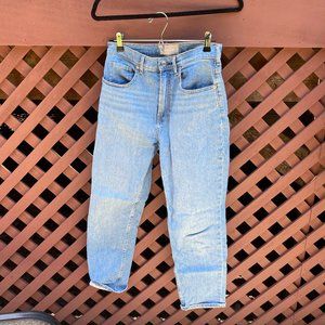 Everlane Cheeky Straight Jean, Ankle, in SKY BLUE